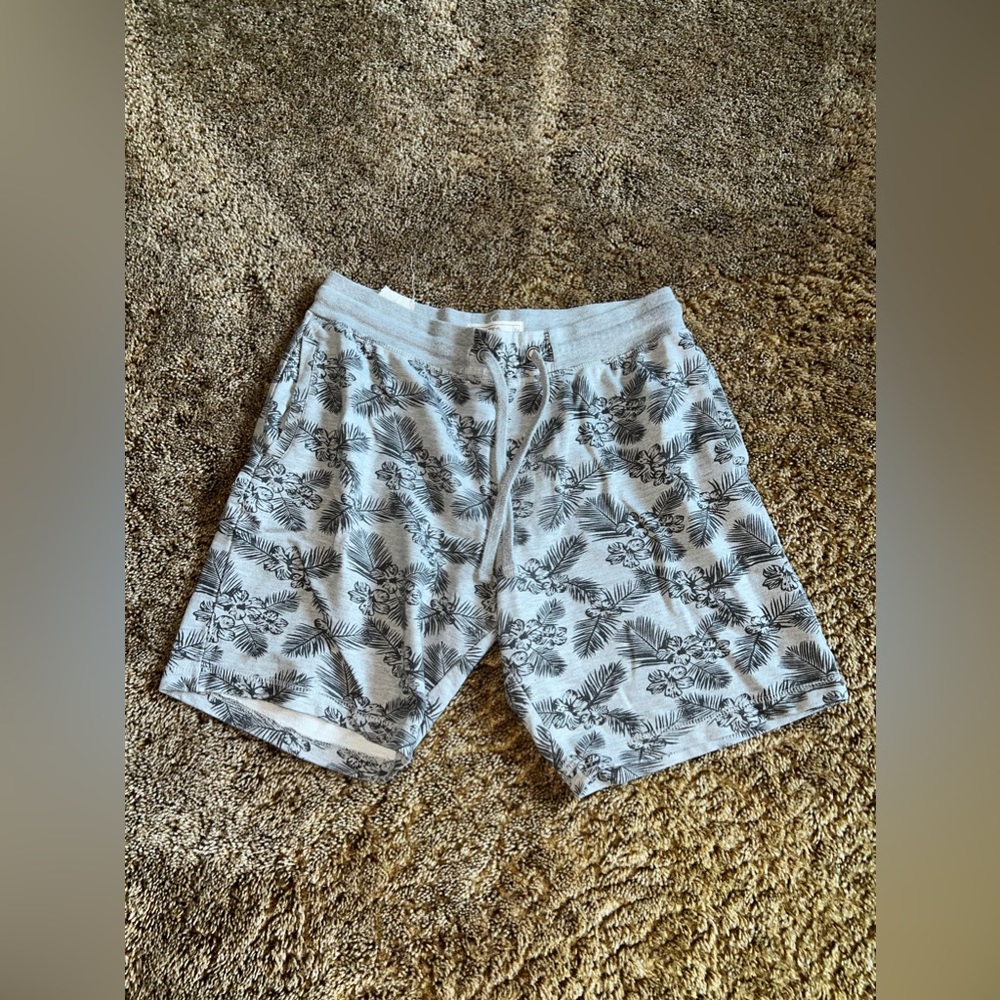 Men’s Free Planet Shorts